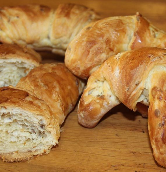 Croissant de semillas