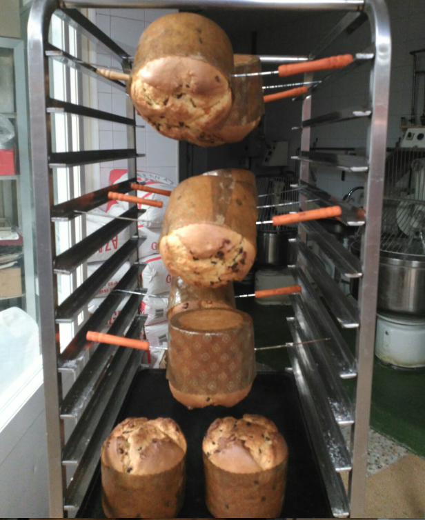 Panettone