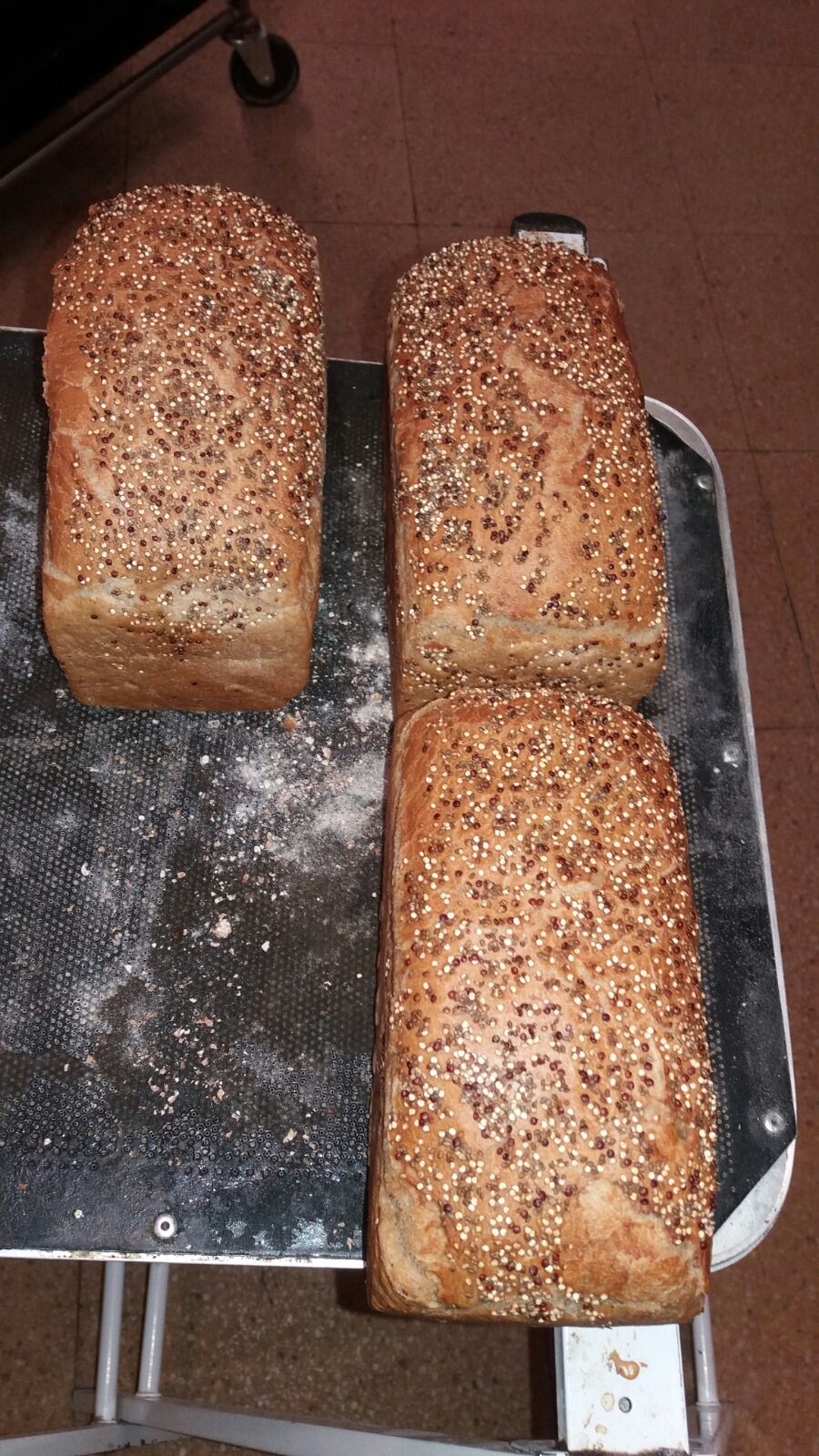 pan de teff, quinoa y chía